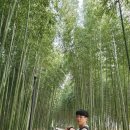 섬진강호텔 이미지