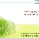 일일예화말씀묵상 2024년 11월 19일 (화) - 하나님의 결정 이미지