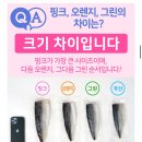 가시제거연구소 고등어밥상 그린라벨 800g+800g 21,900원 이미지