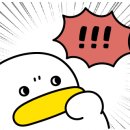 중앙식육점 이미지