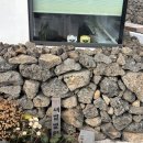 새별별하 이미지