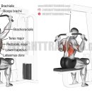 노브레이크PT헬스 이미지
