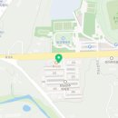 자연임실치즈피자 음성점