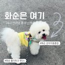 펫24