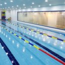 스윔키즈 이미지