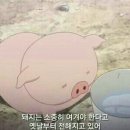 충남왕족발 이미지