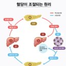 건강한세상행복한약국 | 파로 효능 보는법