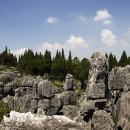 석림4로 이미지