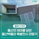 열녀평산신씨정려 | 울산의 테마를 담은 울산박물관 특별전시 관람기