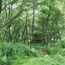 이제산성