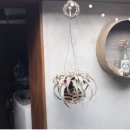 우영팟민박 이미지