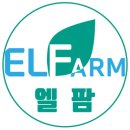 쉿 비밀이야 네이버블로그