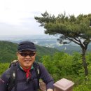 이기세농장 네이버블로그