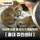 오케이신발수리센터 | 홍대동물카페 쥬민센터에서 미어캣 라쿤 뱀만지기 체험까지 입장료부터 주차 후기 총정리