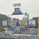 라이온스 | 삼성라이온스파크에서 가을야구를 즐기다