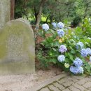 제주대학교 입구 (남국사방면) 이미지