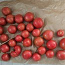 매봉농장 이미지