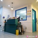 언니네 애견미용실 이미지