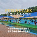 그늘막94 | 경기도 워터파크 평택 무봉산 수영장 숲속수영장 물놀이 후기