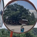 성지경로당 Daum카페