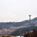 보성완도 이미지
