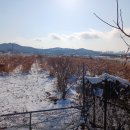 여시농장 이미지