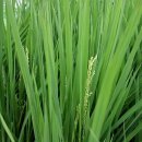 모가파출소 이미지