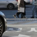 일단정지 이미지