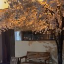 카나이즈미초밥 이미지