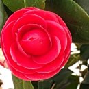 강동어르신행복센터 이미지