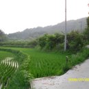 고은농장 이미지