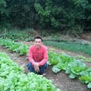 용남초등학교 이미지