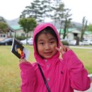 노거수 은행나무 축제의 속삭임 이미지