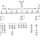 수소이온농도(pH) 이미지
