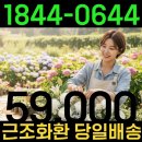 대덕회진장례식장