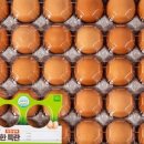 중촌횟집