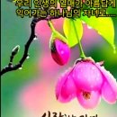 샬롬 Daum카페
