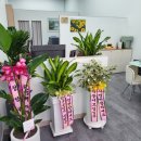 키다리부동산공인중개사사무소 이미지