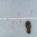 제로방역 네이버블로그
