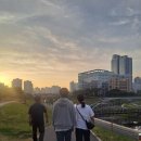 대구반야월막창세종나성점