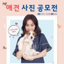 올리비아하슬러 이미지