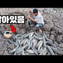 땅 파서 잡는 폐어(lungfish) 이미지