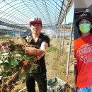 김조한농장 이미지