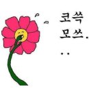 600흑돈송천점 이미지