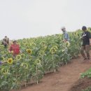 랜드파크투어