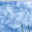 날마다좋은날 이미지