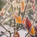 천문한의원 이미지