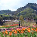 쉬자파크 이미지