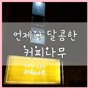 언제나달콤한커피나무