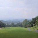 자유CC 티스토리